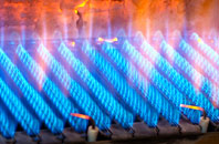 Putloe gas fired boilers
