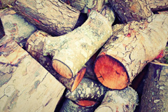 Putloe wood burning boiler costs